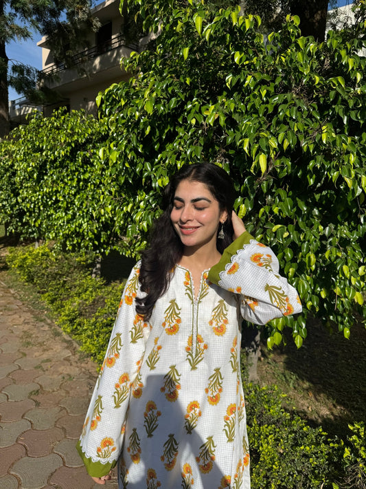 Ameera - The Khushnuma